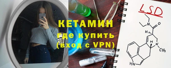 молекула духа Новозыбков