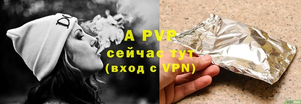 молекула духа Новозыбков