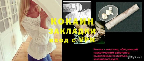 молекула духа Новозыбков