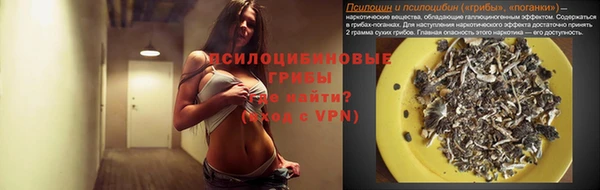 молекула духа Новозыбков