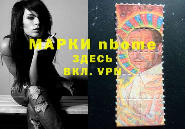 молекула духа Новозыбков