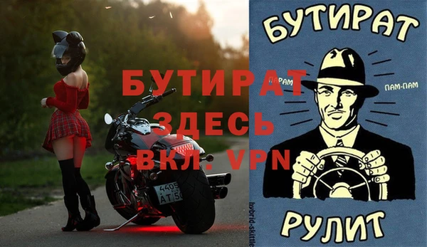 молекула духа Новозыбков