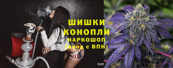 ПСИЛОЦИБИНОВЫЕ ГРИБЫ Аркадак